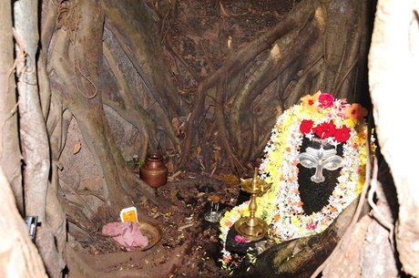 ತುಳುನಾಡಿನ ಈ ಪರಶಿವನಿಗೆ ಆಲದ ಮರವೇ ಆಲಯ!