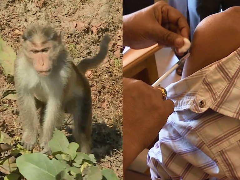 ಮಲೆನಾಡಿಗೆ ಮಂಗನ ಕಾಯಿಲೆ..!