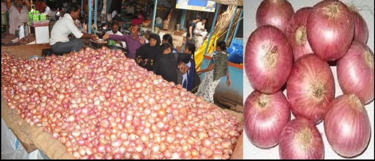 ರಾಜ್ಯ ರಾಜಧಾನಿಯಲ್ಲಿ ಈರುಳ್ಳಿ ಕಣ್ಣೀರು..!