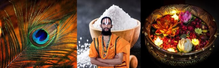 ಮನೆಯ ವಾಸ್ತುದೋಶ ನಿಮ್ಮ ಶ್ರೀಮಂತಿಕೆಯನ್ನ ನಾಶ ಮಾಡುತ್ತಾ..?